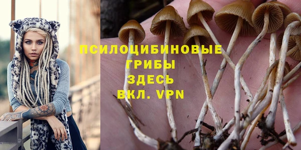 гидра Покровск