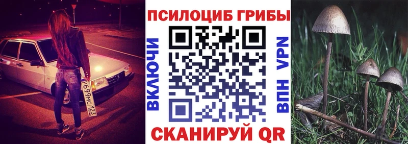 Галлюциногенные грибы Cubensis  Сафоново 