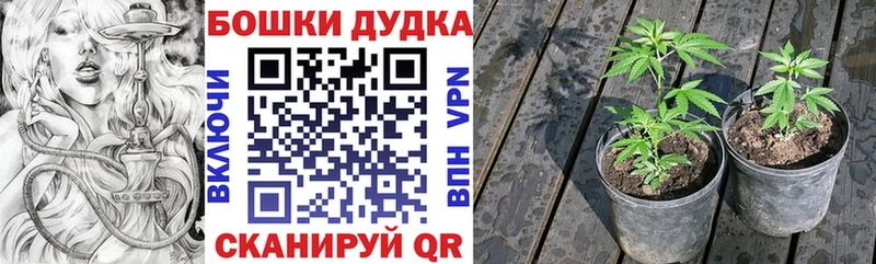 Каннабис Bruce Banner  купить  цена  Сафоново 